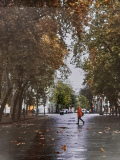 11_Maróti-Dorka_Eső-után