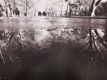 39_Varga-Virág_Tócsa-panoráma